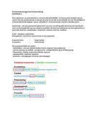 Eventmanagement Samenvatting