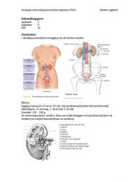 PLP2 Urologie