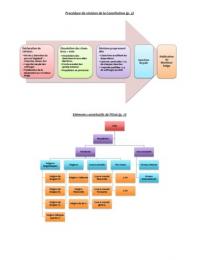 Droit Public &colon; Sch&eacute;mas et organigramme