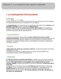 Latest Preview Thumbnail