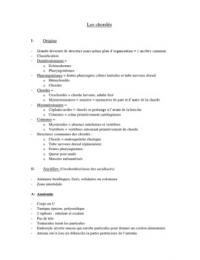 Latest Preview Thumbnail