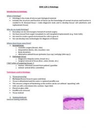 Epithelia&comma; Glanular Epithelium and Connective Tissue