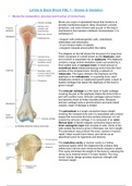 Bone's and Skeleton