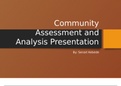 Summary  NUR 434V Community  Assessment and  Analysis Presentation By: Senait Kebede