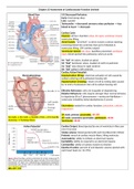NURSING NUR 2230C - Chapter 25, 26 Assessment of Cardiovascular Function (review).