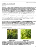 San Jacinto CollegeBIOLOGY 1301Lab #7 - Seedless Vascular Plants.