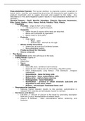 Chamberlain College of Nursing NURSING NR 324 Musculoskeletal Study Guide