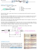 Chapter 9 and 10 ultrasound physics